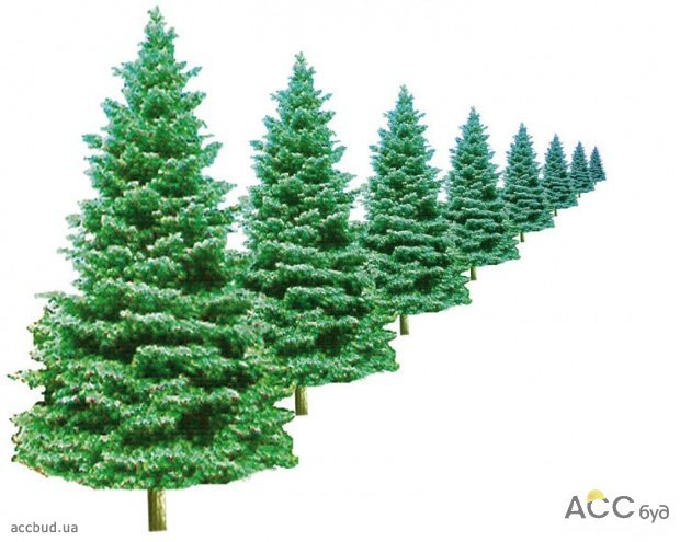 Линейная+воздушная перспектива (Фото: С. Семенов)