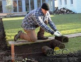 Подготовка участка к озеленению: расценки на работы